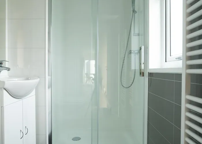 Bis Sechs Personen Ohne Hund